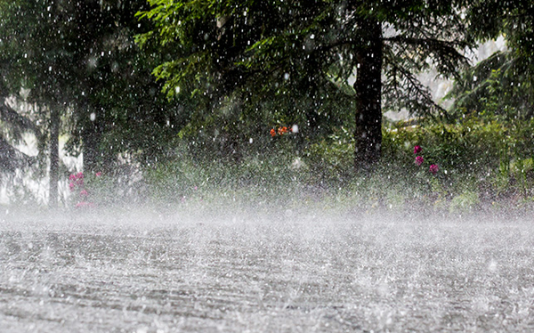 Tin bão khẩn cấp: Nhiều khu vực sẽ có mưa to đến rất to - Ảnh 2.