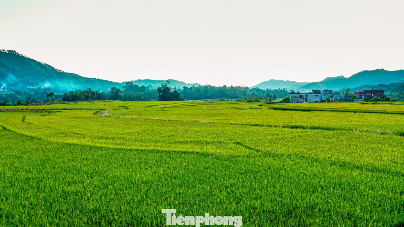 Đẹp ngất ngây ruộng bậc thang ở thung lũng Lục Hồn- Ảnh 13.