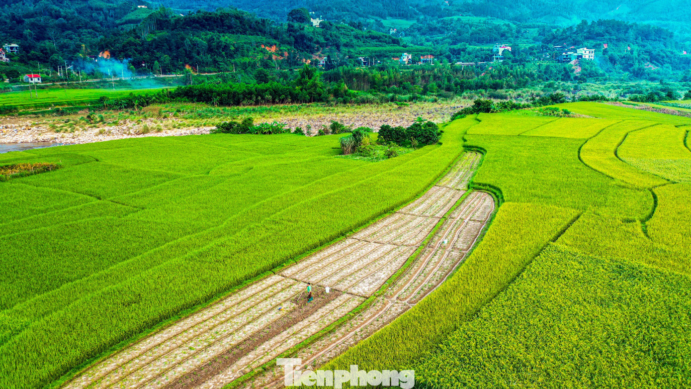 Đẹp ngất ngây ruộng bậc thang ở thung lũng Lục Hồn- Ảnh 6.