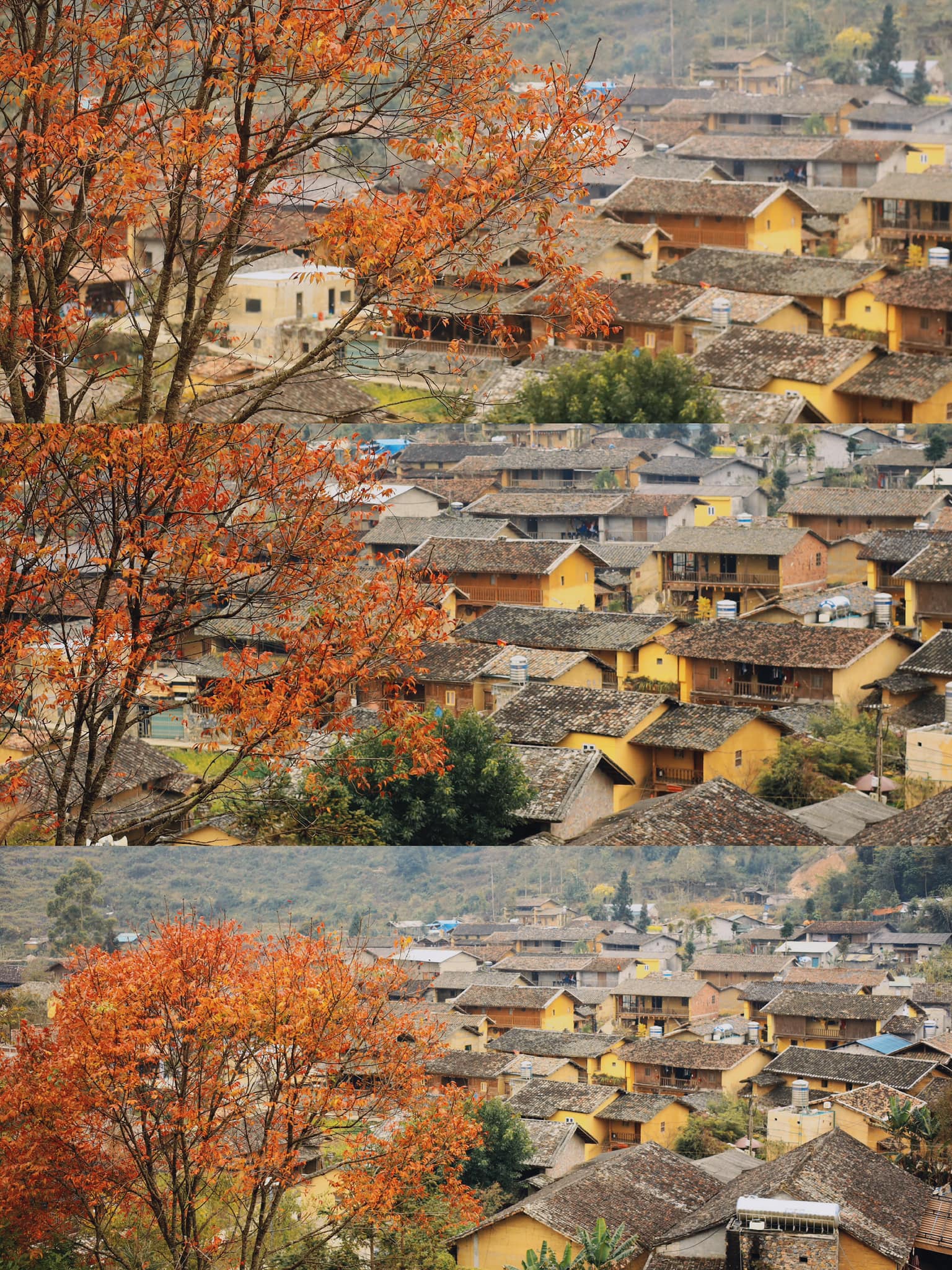 Việt Nam có thêm làng được vinh danh "tốt nhất thế giới": Cách Hà Nội gần 500km, báo chí ví "như cổ tích" - Ảnh 5. Việt Nam có thêm làng được vinh danh "tốt nhất thế giới": Cách Hà Nội gần 500km, báo chí ví "như cổ tích" - Ảnh 5.