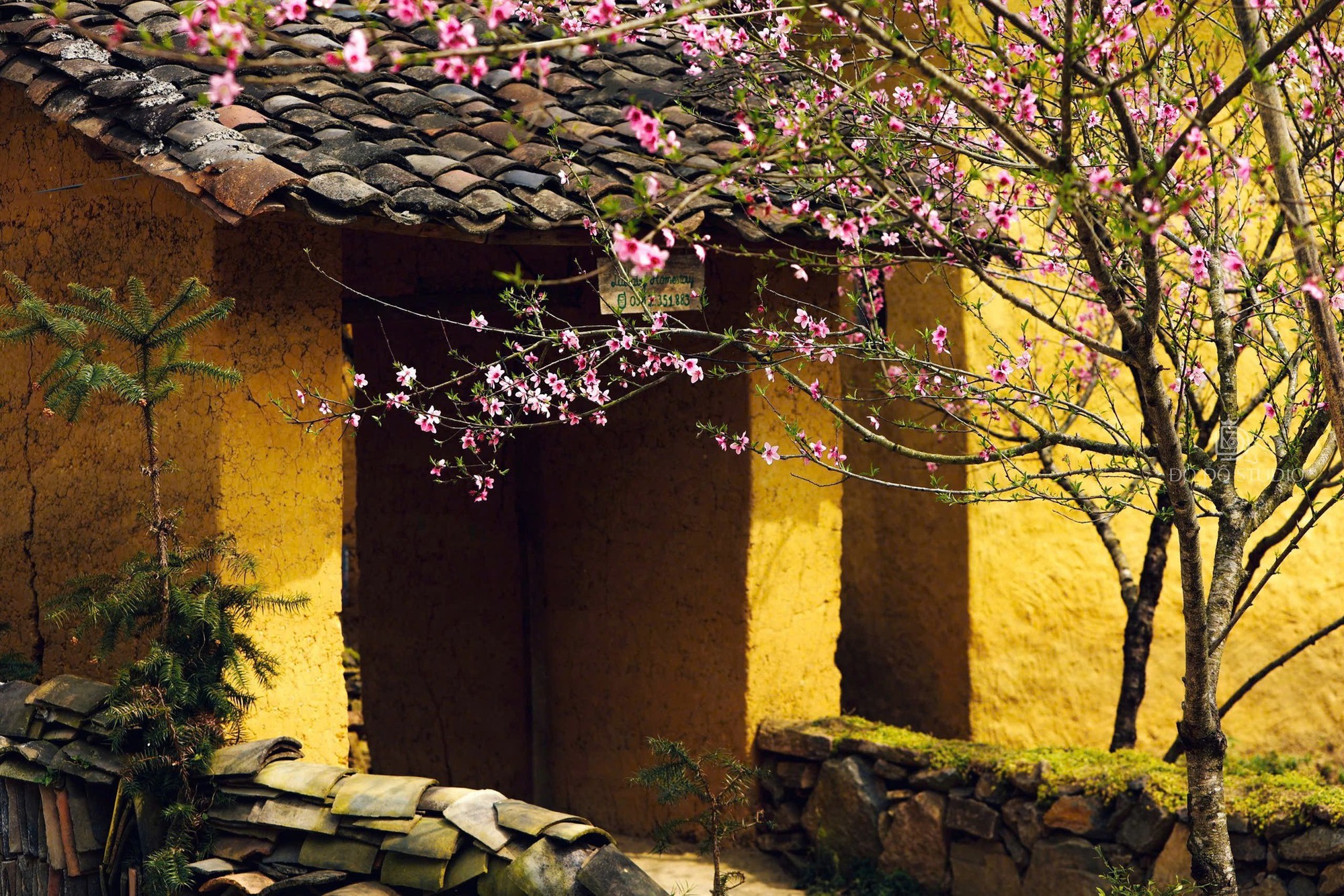 Việt Nam có thêm làng được vinh danh "tốt nhất thế giới": Cách Hà Nội gần 500km, báo chí ví "như cổ tích" - Ảnh 8. Việt Nam có thêm làng được vinh danh "tốt nhất thế giới": Cách Hà Nội gần 500km, báo chí ví "như cổ tích" - Ảnh 8.