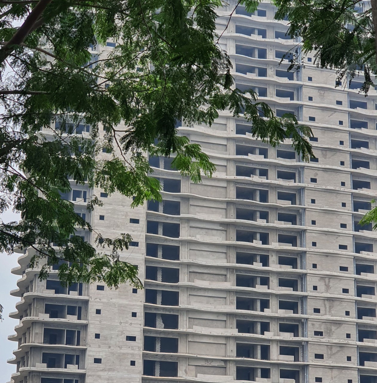 - Ảnh 2. - Ảnh 2.