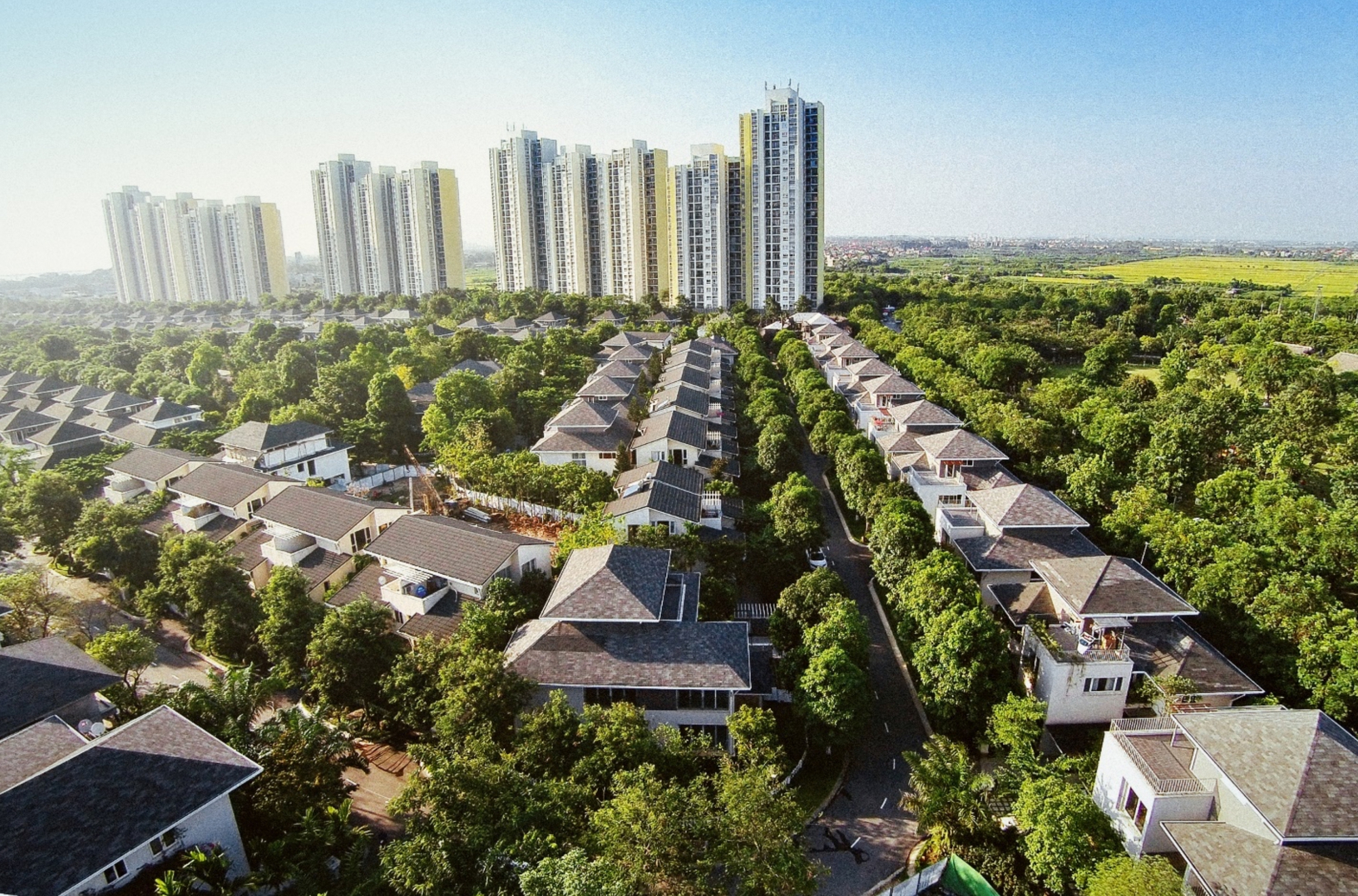 Đơn thuốc toàn diện cho cơ thể từ liệu pháp tắm rừng- Ảnh 4.