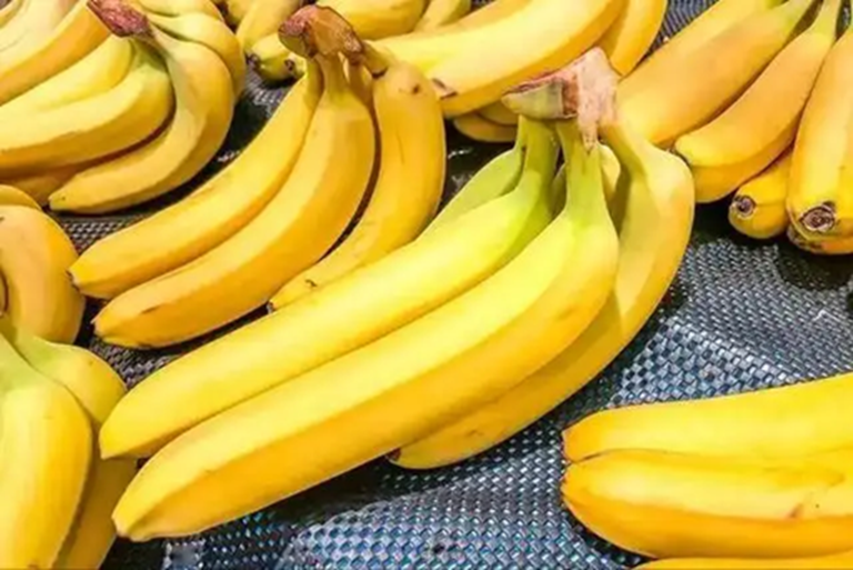 Ngày càng nhiều người tử vong vì suy thận, bác sĩ khuyên: Chớ dại đụng nhiều 6 việc này- Ảnh 4. Ngày càng nhiều người tử vong vì suy thận, bác sĩ khuyên: Chớ dại đụng nhiều 6 việc này- Ảnh 4.