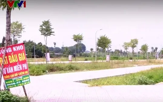 Đấu giá rồi bỏ cọc có thể bị cấm tham gia đến 5 năm - Ảnh 1. Đấu giá rồi bỏ cọc có thể bị cấm tham gia đến 5 năm - Ảnh 1.