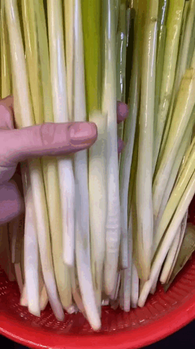 Rau mọc bờ bụi giờ thành đặc sản miền Tây: Giá đắt hơn thịt, 120.000 đồng/kg vẫn nườm nượp người mua- Ảnh 3. Rau mọc bờ bụi giờ thành đặc sản miền Tây: Giá đắt hơn thịt, 120.000 đồng/kg vẫn nườm nượp người mua- Ảnh 3.