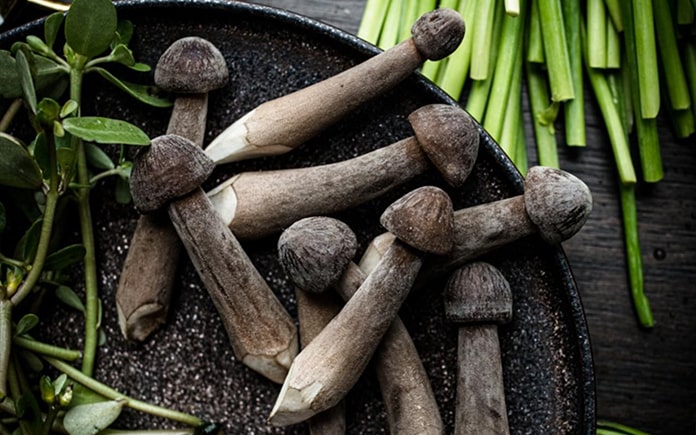 Đặc sản tiền tỷ thế giới, Việt Nam cũng có phiên bản bản địa thơm nồng, giá chỉ bằng khoảng 1/10.000- Ảnh 5. Đặc sản tiền tỷ thế giới, Việt Nam cũng có phiên bản bản địa thơm nồng, giá chỉ bằng khoảng 1/10.000- Ảnh 5.