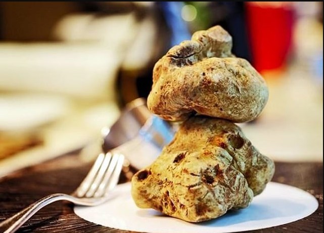 Đặc sản tiền tỷ thế giới, Việt Nam cũng có phiên bản bản địa thơm nồng, giá chỉ bằng khoảng 1/10.000- Ảnh 1. Đặc sản tiền tỷ thế giới, Việt Nam cũng có phiên bản bản địa thơm nồng, giá chỉ bằng khoảng 1/10.000- Ảnh 1.