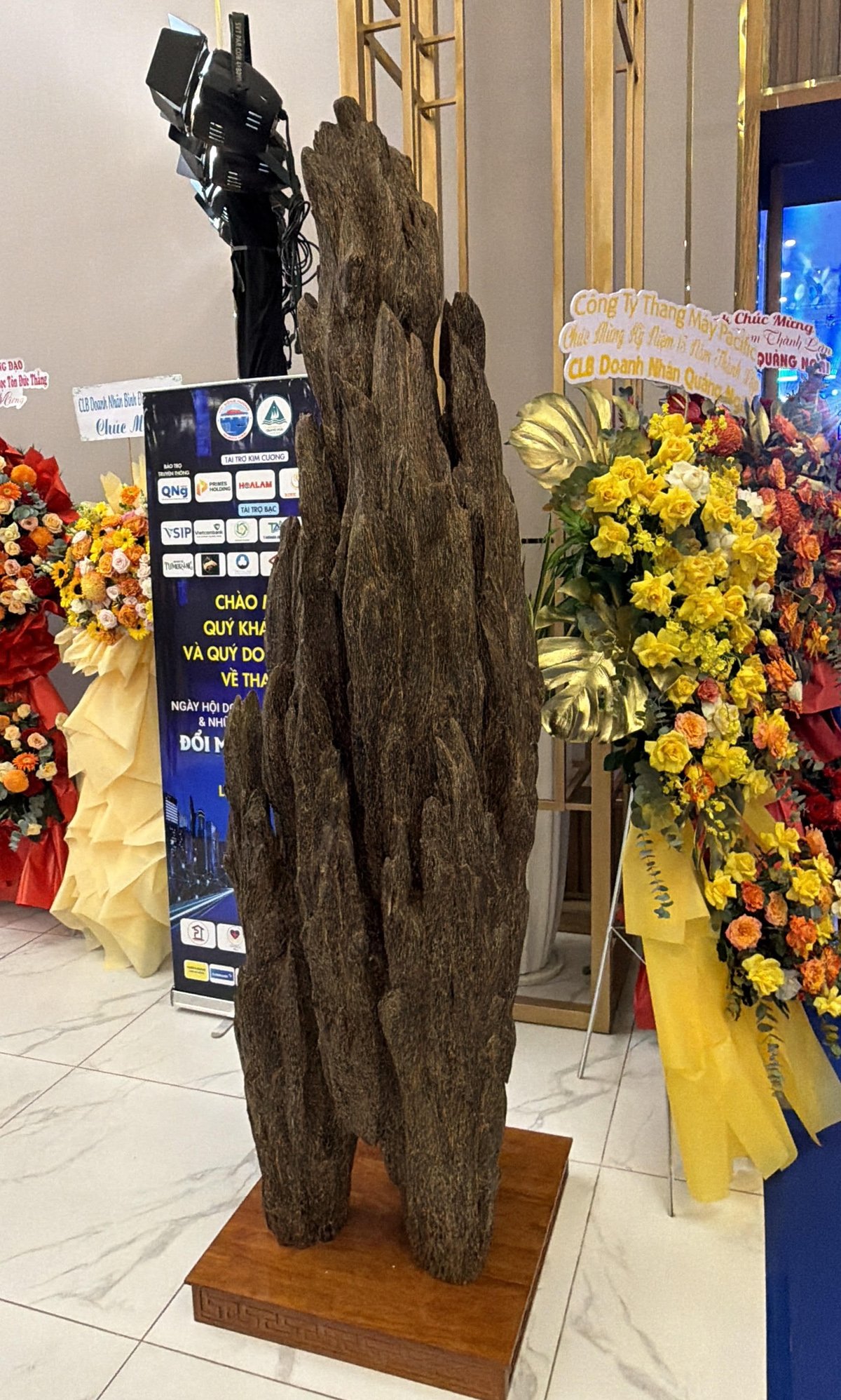 Cây trầm hương 55kg được đấu giá 900 triệu đồng - Ảnh 1.