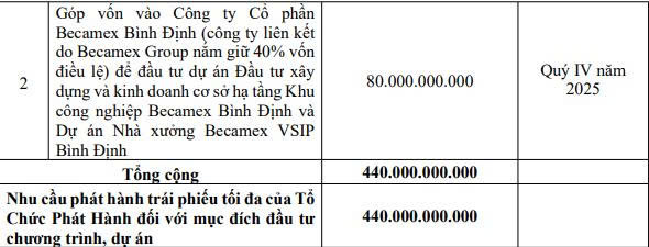 Becamex Group chi hơn 1.253 tỷ đồng mua hơn 125 triệu cổ phiếu của Becamex IJC - Ảnh 4.