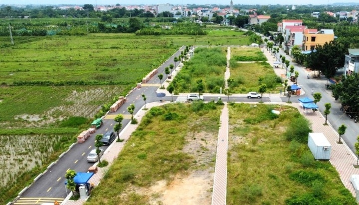 Thị trường đất đấu giá hạ nhiệt sau cơn sốt điên cuồng hơn 1 năm trước- Ảnh 2. Thị trường đất đấu giá hạ nhiệt sau cơn sốt điên cuồng hơn 1 năm trước- Ảnh 2.