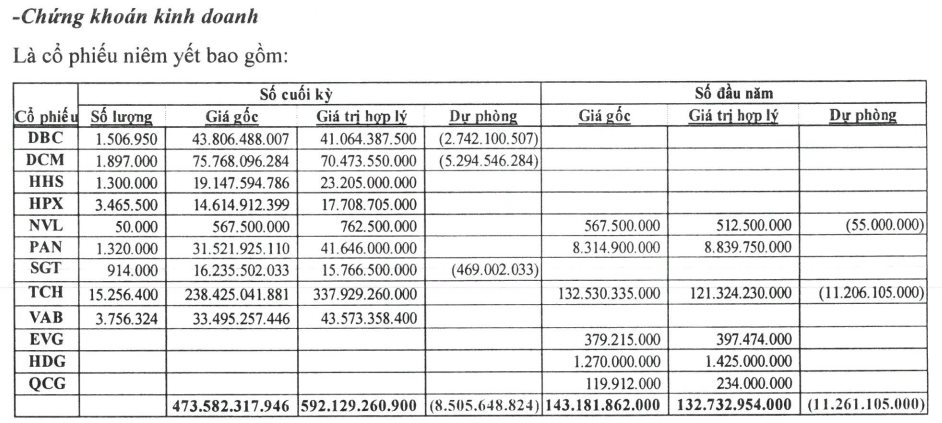 Dành hơn 470 tỷ đồng để đầu tư cổ phiếu TCH, DCM, DBC... một công ty bất động sản lãi gấp 3 lần cùng kỳ dù kinh doanh dưới giá vốn- Ảnh 3.