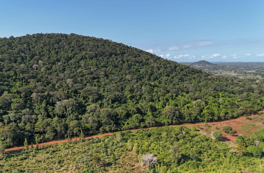 Phát hiện kho báu đất hiếm trị giá 62,4 tỷ USD nằm la liệt dưới cánh rừng 157 hecta﻿, Mỹ và Trung Quốc đồng loạt lên dây cót, chạy đua giành phần thắng - Ảnh 1.