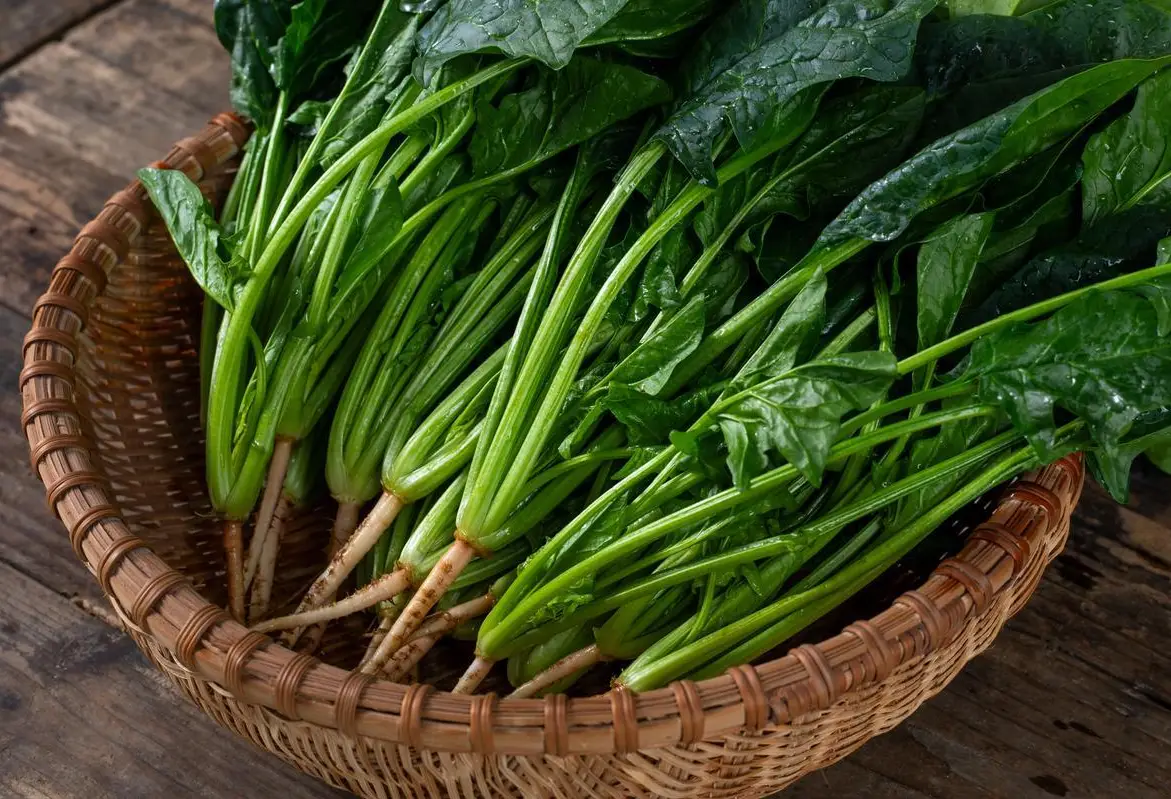 6 thực phẩm "tốt nhất thế giới" cho ai muốn đẹp da, chống lão hóa - Ảnh 1. 6 thực phẩm "tốt nhất thế giới" cho ai muốn đẹp da, chống lão hóa - Ảnh 1.