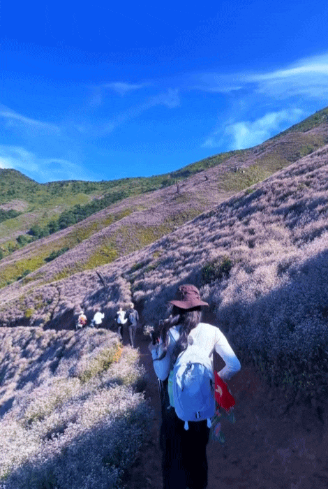 Chinh phục "thiên đường mây" Tà Chì Nhù mùa hoa chi pâu, chiêm ngưỡng vẻ đẹp tinh khôi của núi rừng Tây Bắc - Ảnh 4. Chinh phục "thiên đường mây" Tà Chì Nhù mùa hoa chi pâu, chiêm ngưỡng vẻ đẹp tinh khôi của núi rừng Tây Bắc - Ảnh 4.