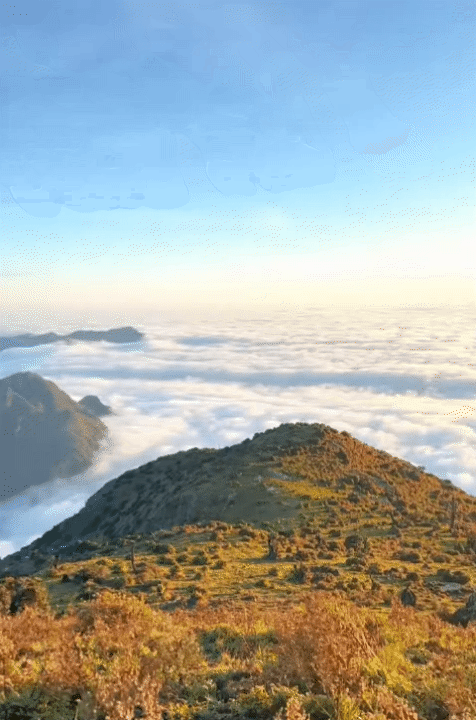 Chinh phục "thiên đường mây" Tà Chì Nhù mùa hoa chi pâu, chiêm ngưỡng vẻ đẹp tinh khôi của núi rừng Tây Bắc - Ảnh 1. Chinh phục "thiên đường mây" Tà Chì Nhù mùa hoa chi pâu, chiêm ngưỡng vẻ đẹp tinh khôi của núi rừng Tây Bắc - Ảnh 1.