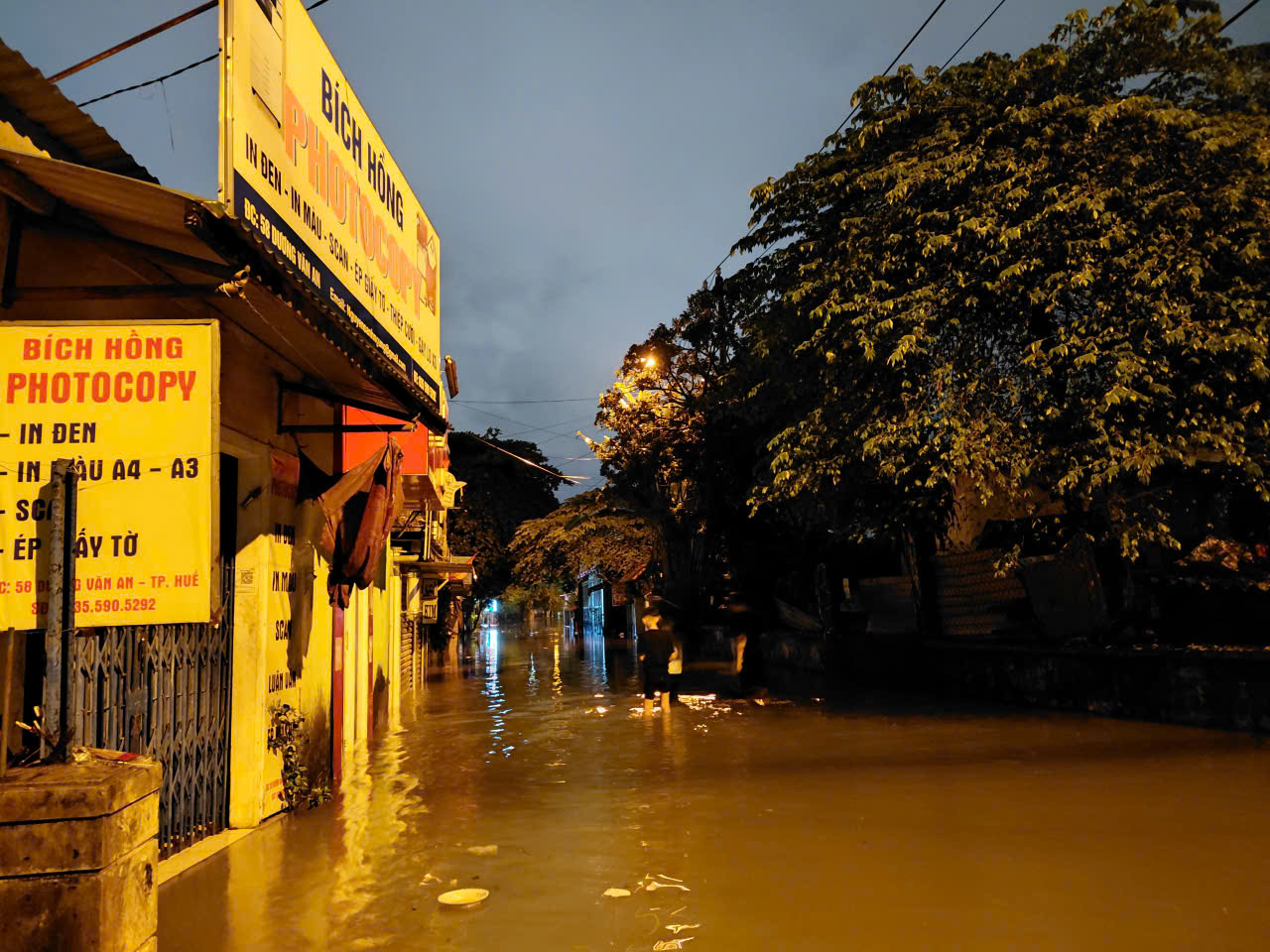 - Ảnh 1. - Ảnh 1.