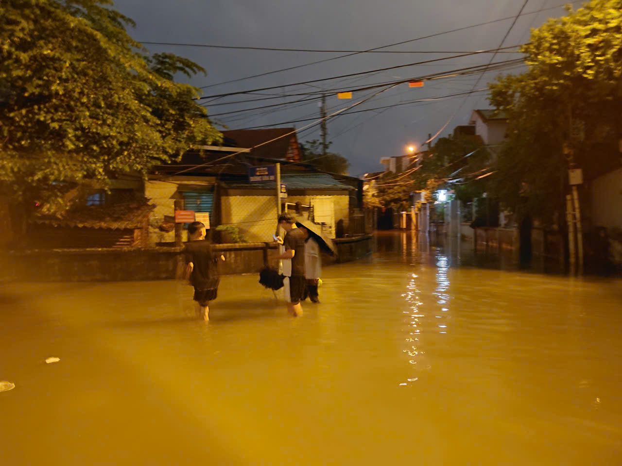 - Ảnh 5. - Ảnh 5.