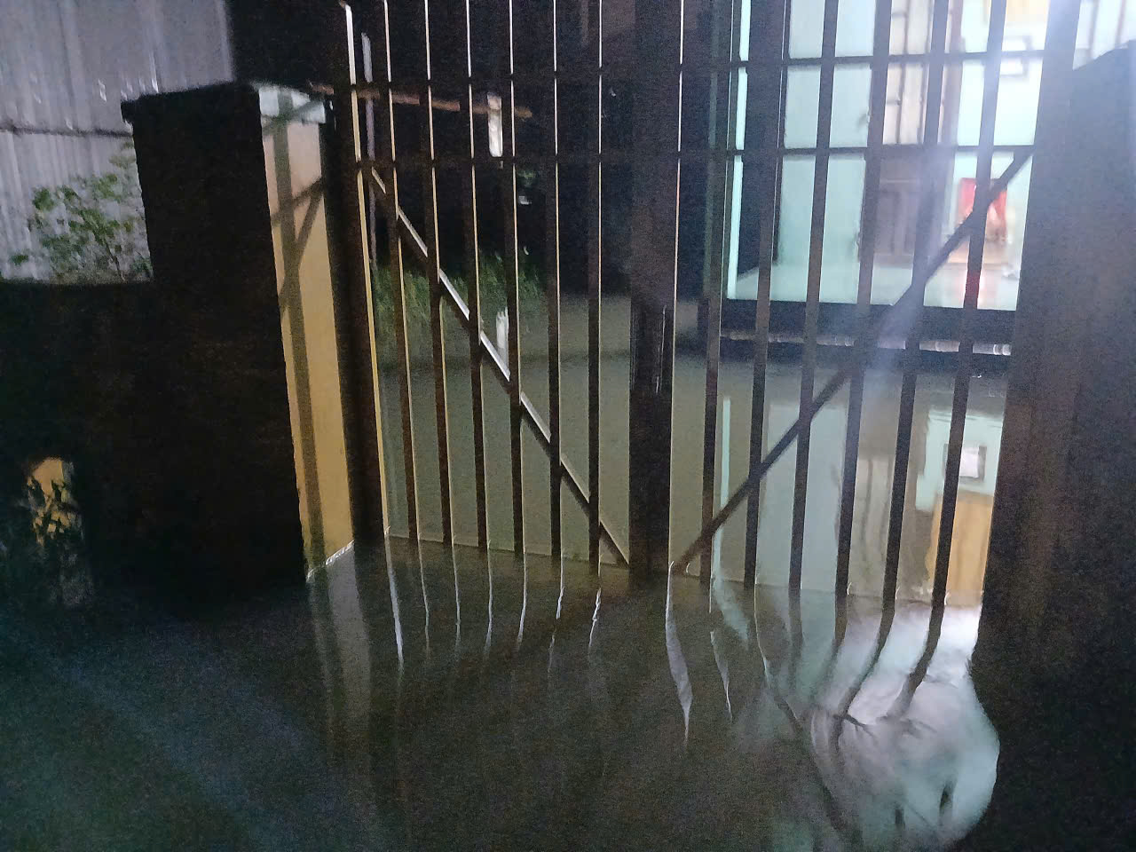 - Ảnh 8. - Ảnh 8.