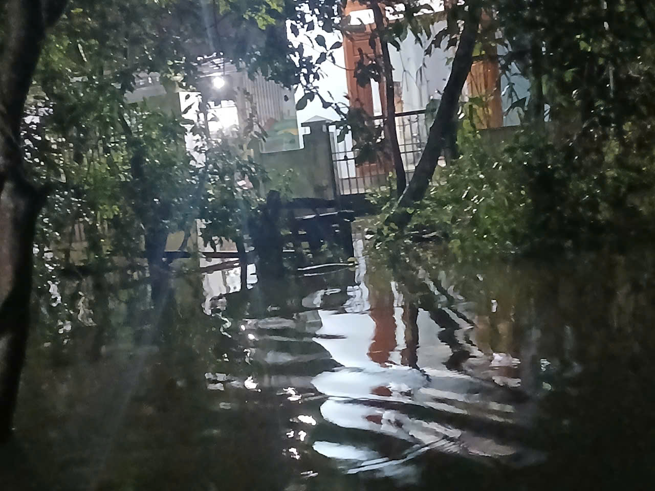 - Ảnh 7. - Ảnh 7.