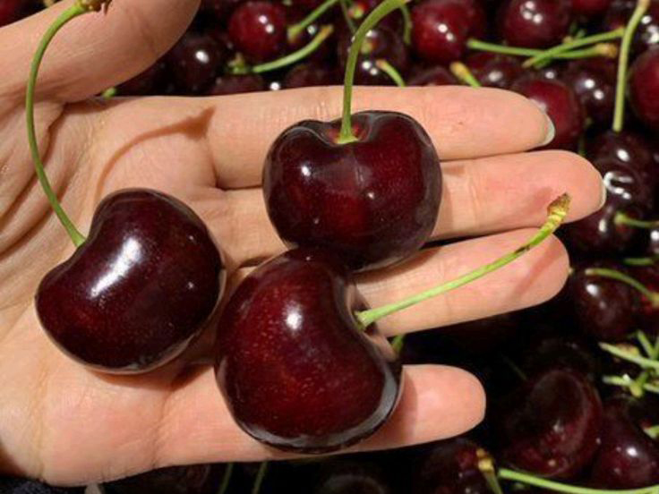 Ngỡ ngàng với 7 loại trái cây giàu protein và chất chống oxy hóa: Cứu tinh khi giảm cân, "chống già"- Ảnh 2. Ngỡ ngàng với 7 loại trái cây giàu protein và chất chống oxy hóa: Cứu tinh khi giảm cân, "chống già"- Ảnh 2.