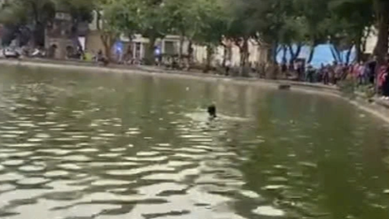 Điều tra vụ cô gái lội  xuống hồ Hoàn Kiếm tử vong