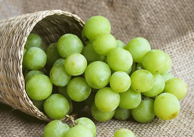 Sự thật hay tin đồn? 6 loại trái cây bị gán mác "gây ung thư", chuyên gia dinh dưỡng nói gì? - Ảnh 2. Sự thật hay tin đồn? 6 loại trái cây bị gán mác "gây ung thư", chuyên gia dinh dưỡng nói gì? - Ảnh 2.