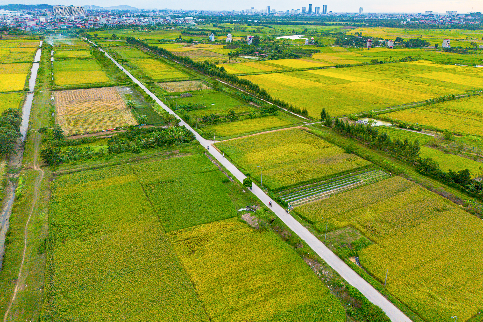 Toàn cảnh khu vực được đề xuất làm khu đô thị rộng gấp 3 lần quận Hoàn Kiếm tại tỉnh có loạt ông lớn Vingroup, Sun Group, T&T đang đầu tư 12 Toàn cảnh khu vực được đề xuất làm khu đô thị rộng gấp 3 lần quận Hoàn Kiếm; Nằm ở tỉnh có loạt ông lớn Vingroup, Sun Group, T&T đang đầu tư - Ảnh 12.