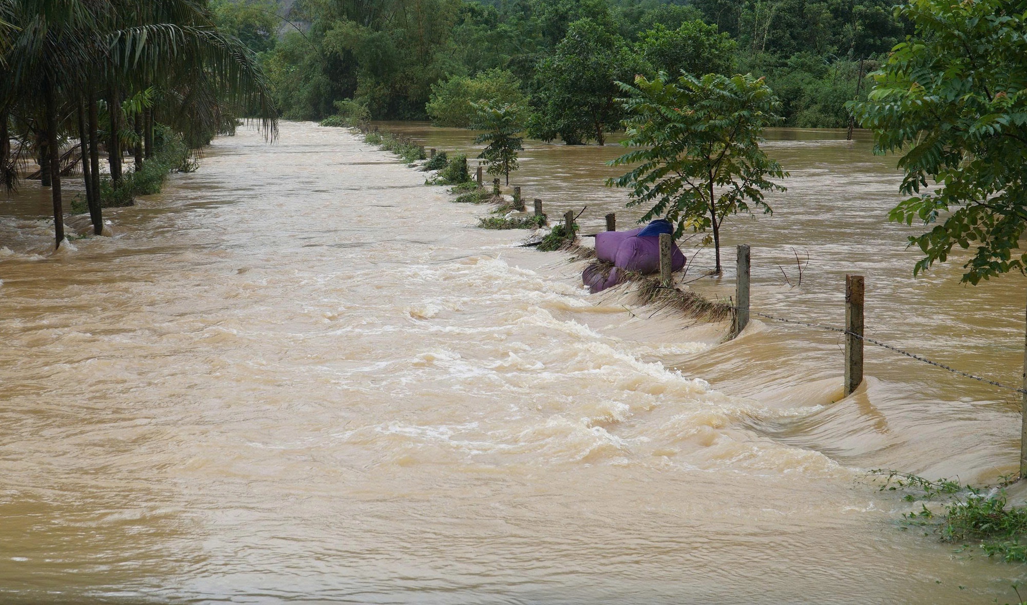 Băng qua dòng nước lũ về nhà, một nữ công nhân ở Đà Nẵng tử vong- Ảnh 4. Băng qua dòng nước lũ về nhà, một nữ công nhân ở Đà Nẵng tử vong- Ảnh 4.