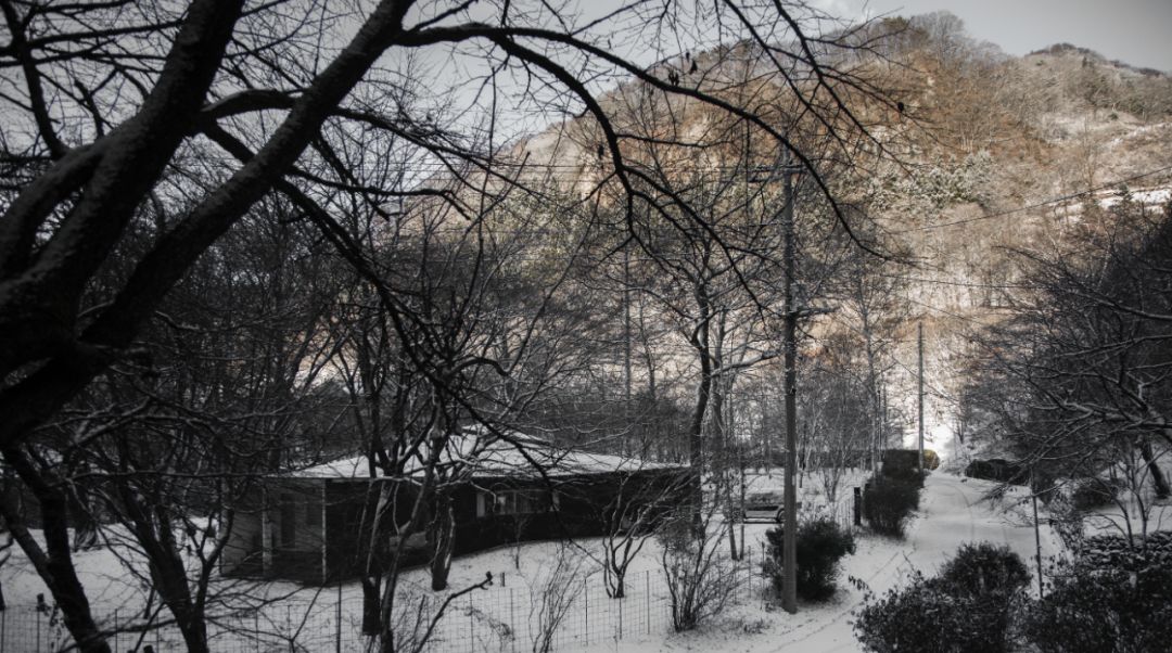 Nữ nghệ sĩ 65 tuổi bỏ phố vào rừng xây biệt thự, dựng "phòng đen" trên đất rộng 1.440m2, ở một mình với mèo - Ảnh 19. Nữ nghệ sĩ 65 tuổi bỏ phố vào rừng xây biệt thự, dựng "phòng đen" trên đất rộng 1.440m2, ở một mình với mèo - Ảnh 19.