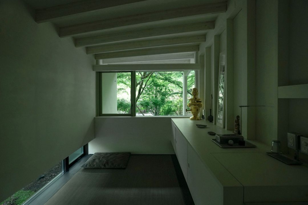 Nữ nghệ sĩ 65 tuổi bỏ phố vào rừng xây biệt thự, dựng "phòng đen" trên đất rộng 1.440m2, ở một mình với mèo - Ảnh 8. Nữ nghệ sĩ 65 tuổi bỏ phố vào rừng xây biệt thự, dựng "phòng đen" trên đất rộng 1.440m2, ở một mình với mèo - Ảnh 8.