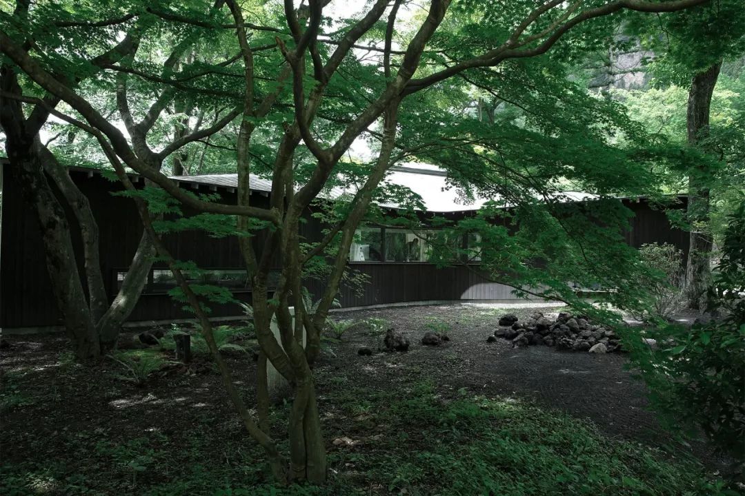 Nữ nghệ sĩ 65 tuổi bỏ phố vào rừng xây biệt thự, dựng "phòng đen" trên đất rộng 1.440m2, ở một mình với mèo - Ảnh 2. Nữ nghệ sĩ 65 tuổi bỏ phố vào rừng xây biệt thự, dựng "phòng đen" trên đất rộng 1.440m2, ở một mình với mèo - Ảnh 2.