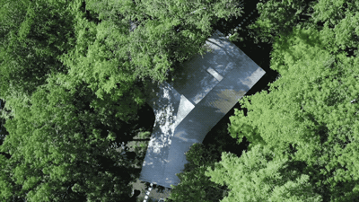 Nữ nghệ sĩ 65 tuổi bỏ phố vào rừng xây biệt thự, dựng "phòng đen" trên đất rộng 1.440m2, ở một mình với mèo - Ảnh 5. Nữ nghệ sĩ 65 tuổi bỏ phố vào rừng xây biệt thự, dựng "phòng đen" trên đất rộng 1.440m2, ở một mình với mèo - Ảnh 5.