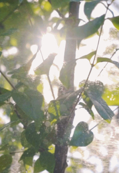 Vợ sinh con gái, chồng sung sướng đập biệt thự 30 tỷ ra sửa lại chỉ để "các thành viên có thể ở cùng nhau mà ai cũng có góc của mình"- Ảnh 17.