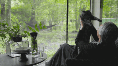 Nữ nghệ sĩ 65 tuổi bỏ phố vào rừng xây biệt thự, dựng "phòng đen" trên đất rộng 1.440m2, ở một mình với mèo - Ảnh 20. Nữ nghệ sĩ 65 tuổi bỏ phố vào rừng xây biệt thự, dựng "phòng đen" trên đất rộng 1.440m2, ở một mình với mèo - Ảnh 20.