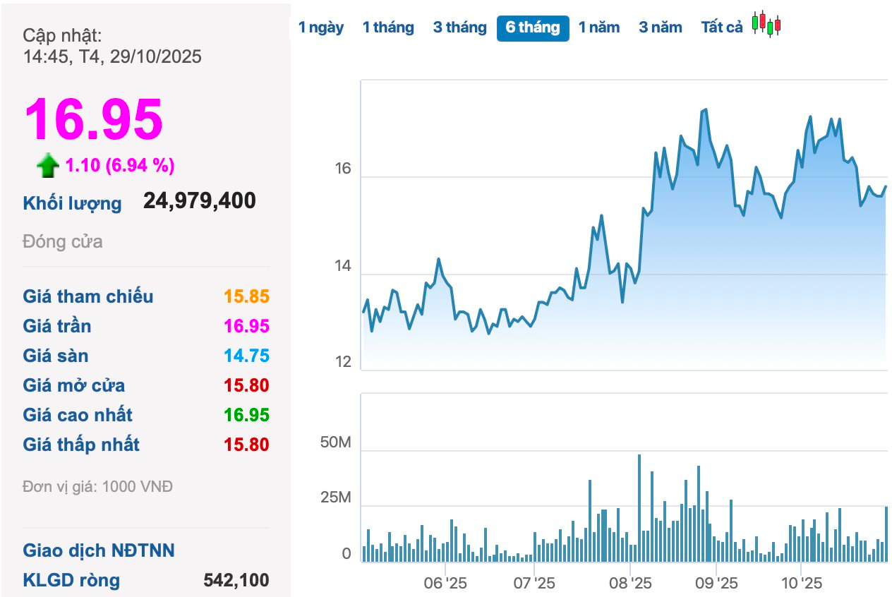 Điều gì đang xảy ra với cổ phiếu Hoàng Anh Gia Lai của Bầu Đức?- Ảnh 2.