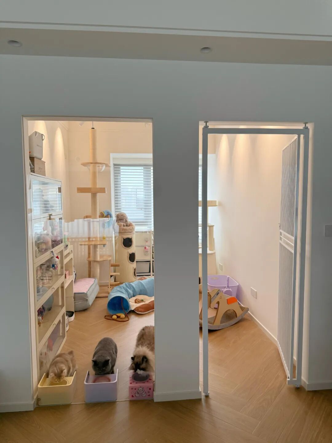 - Ảnh 9. - Ảnh 9.