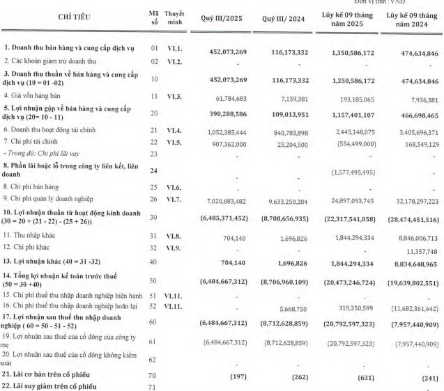 Một doanh nghiệp trên sàn chứng khoán đang thu tiền mỗi ngày từ sân Pickleball- Ảnh 2.