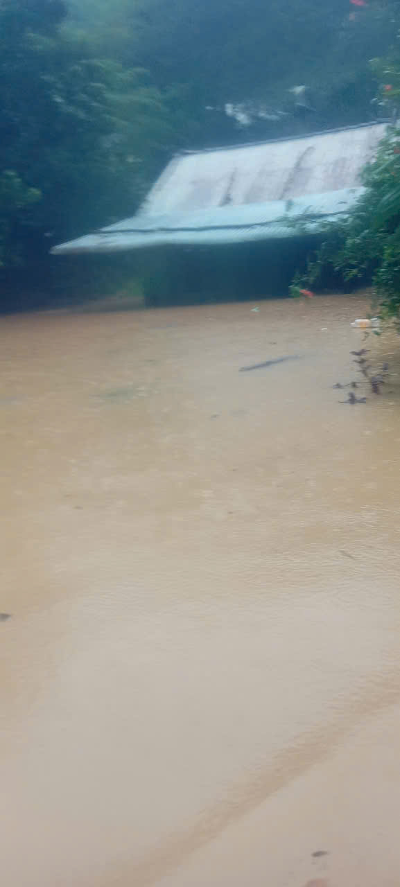 - Ảnh 3. - Ảnh 3.