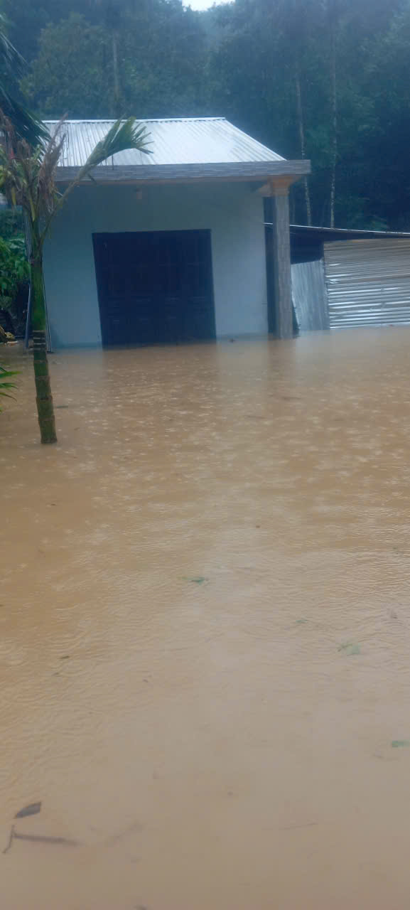 - Ảnh 2. - Ảnh 2.