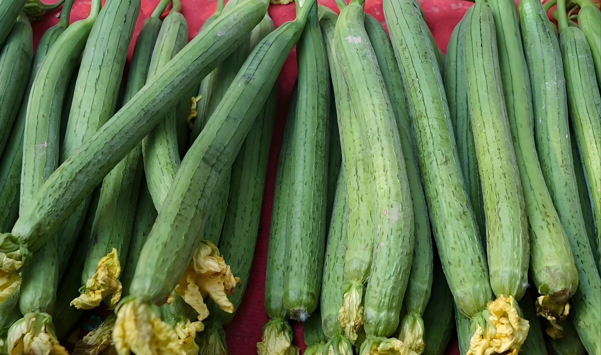 6 loại rau củ đừng mua mùa này- Ảnh 1.