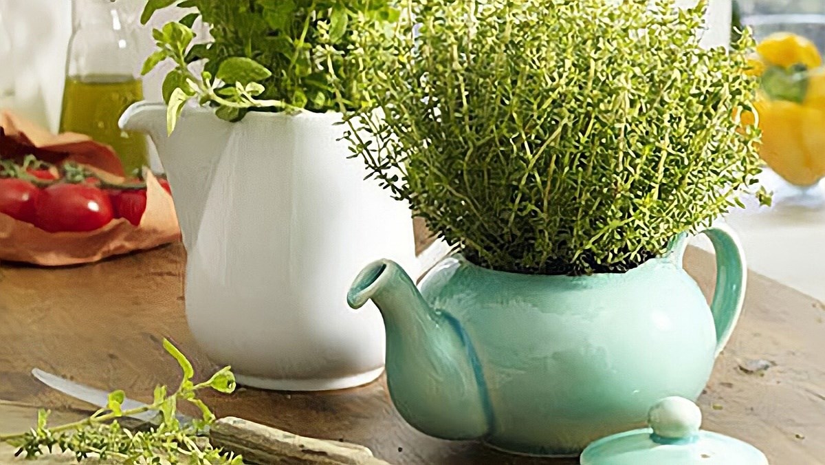 Mẹ tôi 55 tuổi tiết kiệm siêu đẳng: 5 thói quen khiến ai cũng muốn học theo- Ảnh 2. Mẹ tôi 55 tuổi tiết kiệm siêu đẳng: 5 thói quen khiến ai cũng muốn học theo- Ảnh 2.