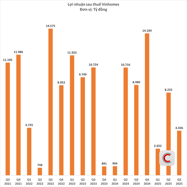 Vinhomes lãi hơn 15.300 tỷ đồng sau 9 tháng- Ảnh 2. Vinhomes lãi hơn 15.300 tỷ đồng sau 9 tháng- Ảnh 2.