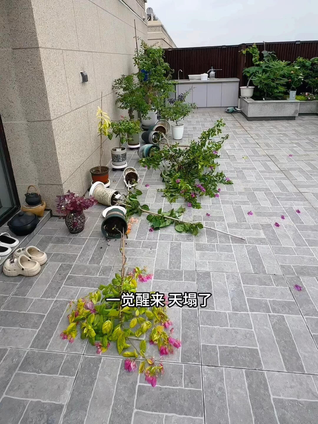 Penthouse – giấc mơ sang chảnh biến thành “địa ngục trên cao”: Tôi đã sống và hối hận!