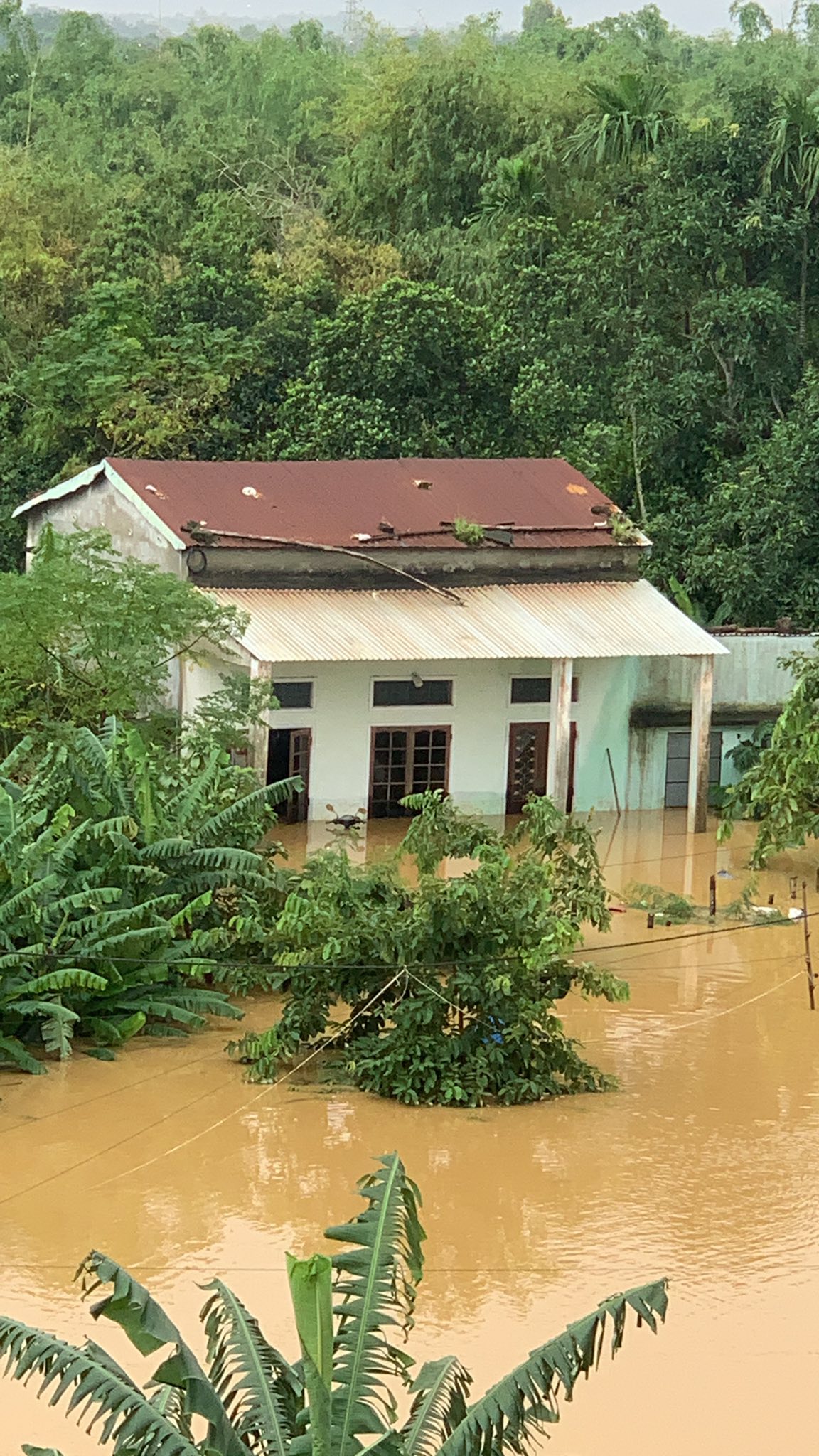 Nắng lên nhưng nhiều nhà dân ở Đà Nẵng vẫn đang ngập nặng sau mưa lớn - Ảnh 9. Nắng lên nhưng nhiều nhà dân ở Đà Nẵng vẫn đang ngập nặng sau mưa lớn - Ảnh 9.