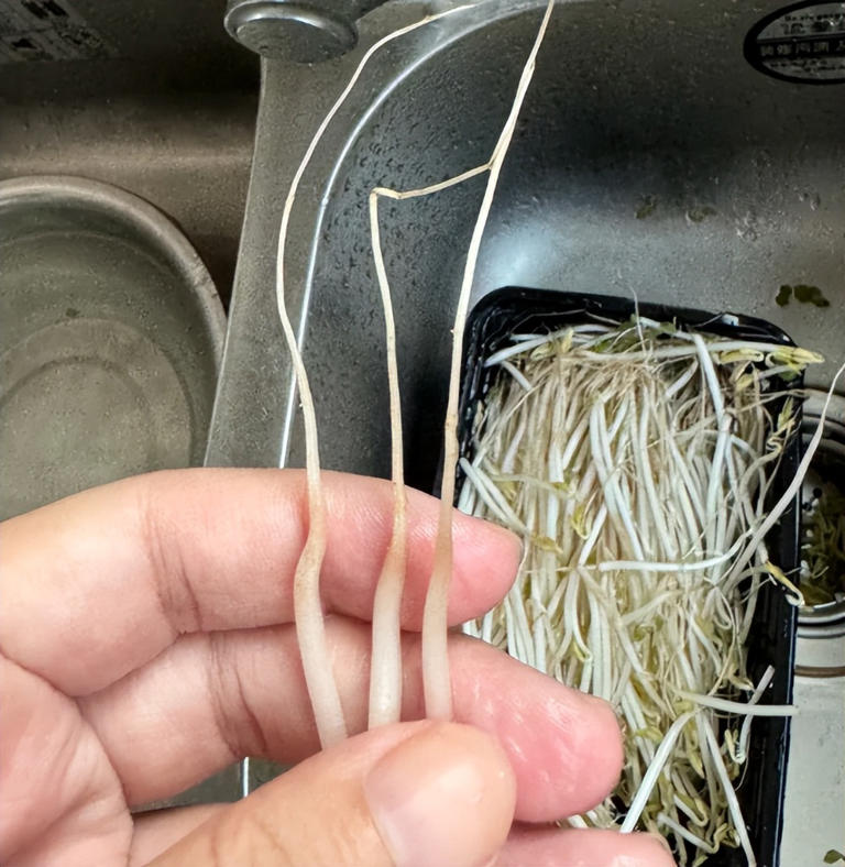 4 loại rau ở chợ thường bị “tắm thuốc” cho đẹp mắt, người bán không dám ăn, nhiều người lại thích mua- Ảnh 2.