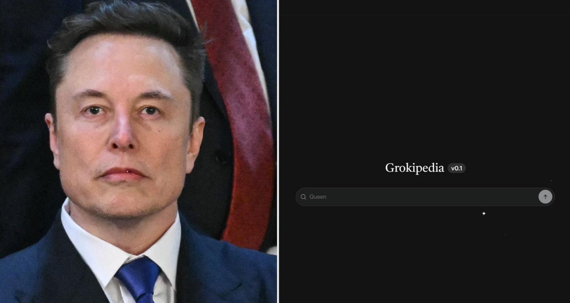 Elon Musk ra mắt nền tảng bách khoa toàn thư thách thức Wikipedia- Ảnh 1.