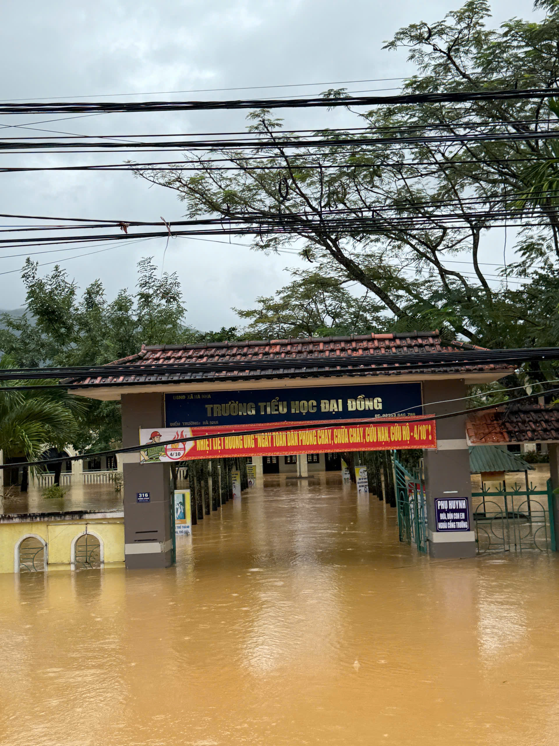 Lũ Đà Nẵng vượt mốc lịch sử 1964 , người dân kêu cứu trong đêm - Ảnh 10. Lũ Đà Nẵng vượt mốc lịch sử 1964 , người dân kêu cứu trong đêm - Ảnh 10.