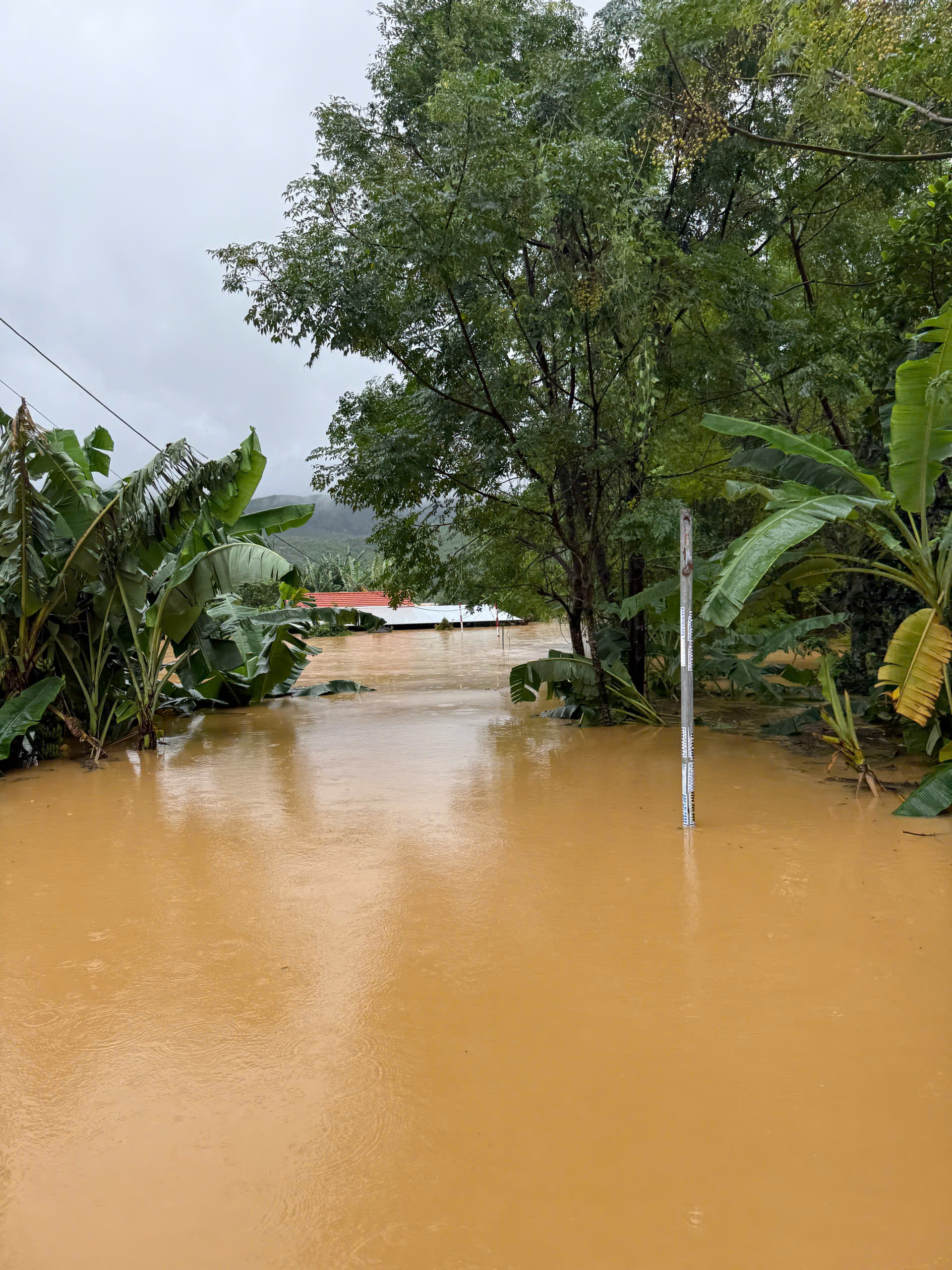 Lũ Đà Nẵng vượt mốc lịch sử 1964 , người dân kêu cứu trong đêm - Ảnh 8. Lũ Đà Nẵng vượt mốc lịch sử 1964 , người dân kêu cứu trong đêm - Ảnh 8.