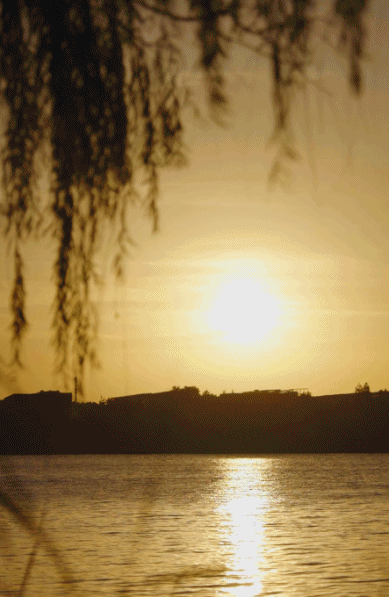 Sống một mình giữa ngôi nhà 350m2 đầy hơi ấm cùng Einstein, nữ nghệ sĩ 35 tuổi nhắn nhủ: Tự do không phải là bỏ đi mọi ràng buộc mà là...- Ảnh 14. Sống một mình giữa ngôi nhà 350m2 đầy hơi ấm cùng Einstein, nữ nghệ sĩ 35 tuổi nhắn nhủ: Tự do không phải là bỏ đi mọi ràng buộc mà là...- Ảnh 14.